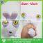 Animal Shape Squeeze Pop Eyes