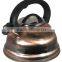 best kettle stainless steel water kettle