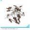 Brown color Aluminium Blind rivet