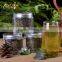 China canned herbal jasmine flavor green healthy tea