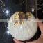 Natural Agate Topaz Geode Citrine Crystal Sphere Ornaments For Sale
