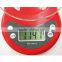 glass kitchen scale with timer 5kg