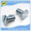 Factory Customized Nonstandard Stainless Steel Slotted Screw