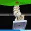 Most popular Lumbar spinal column with sacral and coccyx bones model
