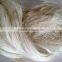 ZGM-4402 Factory Supply Sisal Fiber Extractor Machine 2t/h