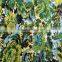 China Hot Selling Digital Printing Chiffon 100% Polyester Fabric
