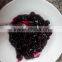 New Crop/Canned Blueberry Pie Filling & Topping 410g