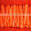 FRESH CARROT SHANDONG 2013 NEW CORP