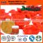 BNP Supply Xinjiang Jinns Medlar Best Top Quality Natural 100% Water Soluble Goji Juice Powder 20% polysaccharides