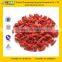 GMP Certified Manufacturer Supply Dry Goji Berry