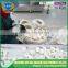 Export garlic,garlic price in china