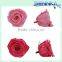 Fashinable and Natural real rose preserved rose flowers for flower arrangement , various sizes available