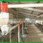 pig animal farming / farm equipment