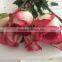 Big distount for fresh cut pink/red/blue/green rose from Kunming China