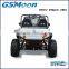 powerfull 800cc dune buggy for sale with EFI engine