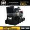 Economical Custom Multifunction Ricardo Diesel Generator
