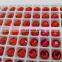 8mm red sew on crystal garment beads for wholesale