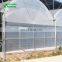 Agricultural greenhouse hot sale commercial film cover greenhouse,plastic film greenhouse