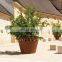 Ellipse Planter Corten Flower Pot Corten Steel Planter