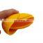 Round DIY silicone ice mold and ice maker and mini ice cube