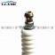 Genuine Auto Engine Spark Plug 101000036AA BUR6ET For VW 101 000 036AA