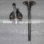 Genuine ISF2.8 ISF3.8 Diesel Auto engine Exhaust valve 5256949 5308265