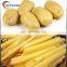 French Fries Cutter And Vegetable Potato Crisp Washing Peeling Cutting Machine