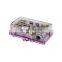 Car Audio Amplifier Waterproof AGU Fuse Holder