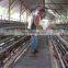 breeding layer chicken cages for kenya poultry farm