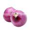 Healthy Vegetables Iqf Frozen Chopped Onion Hot Selling Delicious Quality