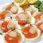 Frozen Half Shell Scallop Sea Scallop