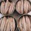 canned mackerel fillets
