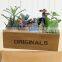 Vintage wooden wood succulents box storage box finishing wood meaty flowerpot