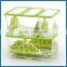 Plastic 3pc Food Storage Boxes