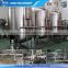 Water Purification Plant Cost/Water Purification Machine
