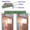 economic birch galss timber interior door