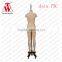 Asia Standard Lingerie 75C Clothing Shop Fitting Mannequin