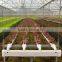 High quality PVC gullies for NFT hydroponics