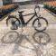 TDE33Z Gentleman electric bike 26x1.95