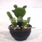 Factory price real look artificial cactus plant Immortal Column plant for sale