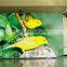 P4 indoor giant led advertising screen price