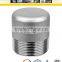 ASTM A182 304/316 3000# High Pressure Stainless Steel Male/Female Fittings