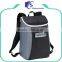 Polyester material small insulated oem cooler rucksack