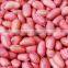 Supply with Chinese Raw Red Skin Peanut Kernels Without Shell For Sales