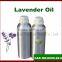 French Lavender Oil in bulk in essential oil wholesale low price