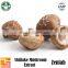 wholesale 100% natural dried shitake mushroom extract
