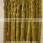 Canned Green Asparagus