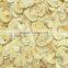 IQF champignon mushroom slice