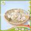 Sell High-quality Fresh Natural Garlic