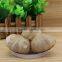 Losing Weight Aged Garlic Bulb Cloves Spawn